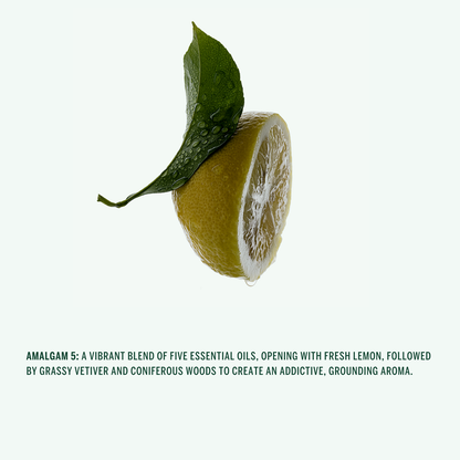 Corpus Hand Cream - Amalgam 5