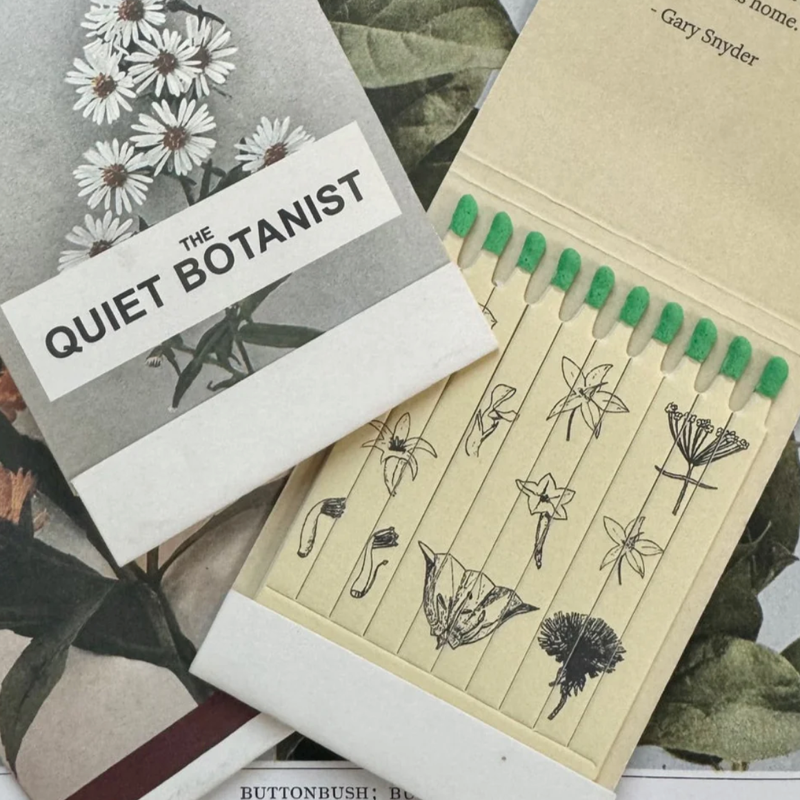 The Quiet Botanist Candles